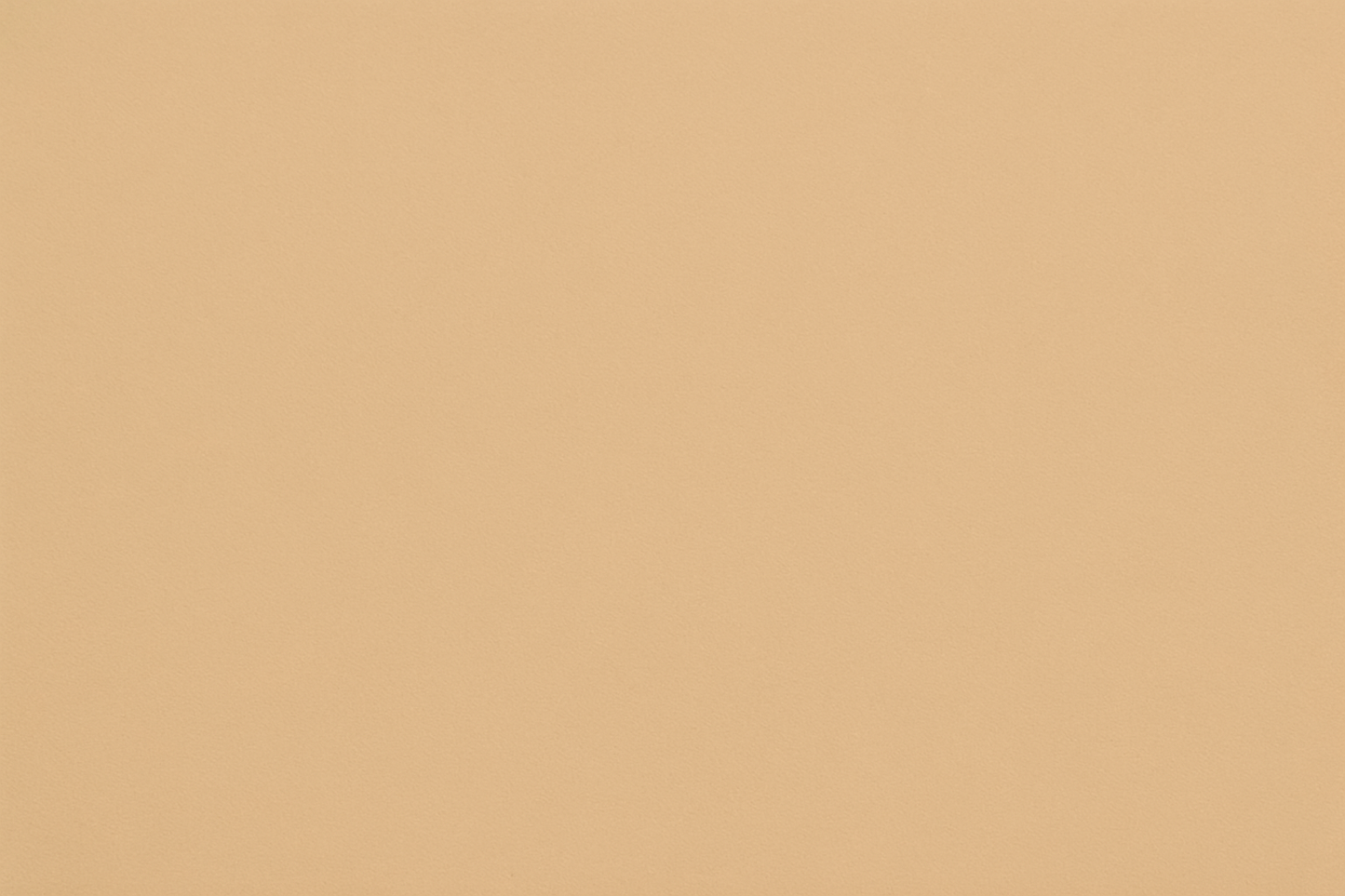 Solid  color Beige 